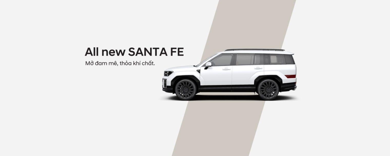 Hyundai Santafe 1